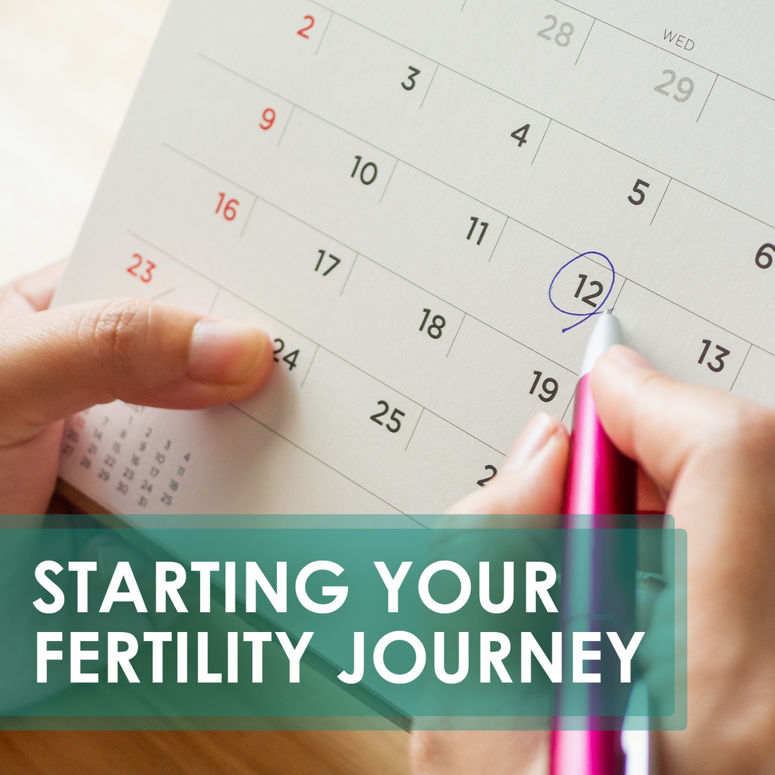 Guidance to support fertility in both men and women - preconception