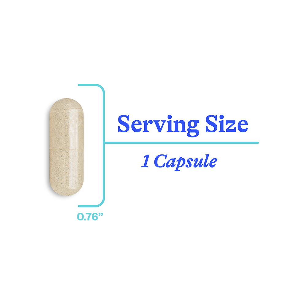 Ashwagandha Extract 467mg - 60 Capsules | Seeking Health