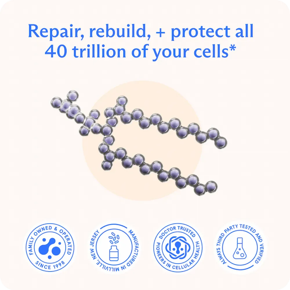 BodyBio PC Softgels (Phosphatidylcholine) - 300 Softgels | Body Bio