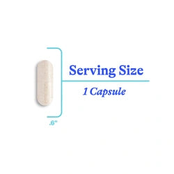 Optimales Glutathion Plus - 60 Kapseln | Seeking Health