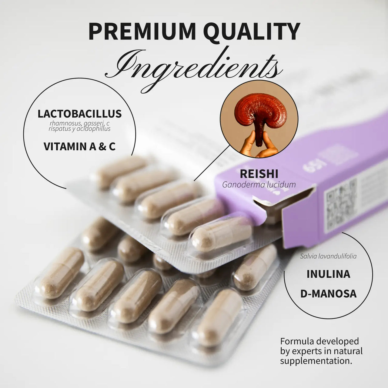 Hifas-Intima oral | Hifas da Terra