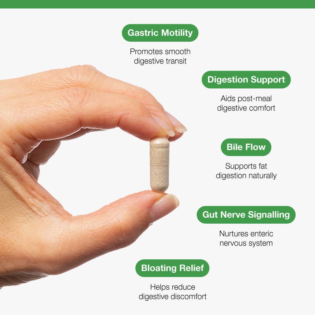 Motility Complex with Ginger + Artichoke - 120 Capsules | Metagenics