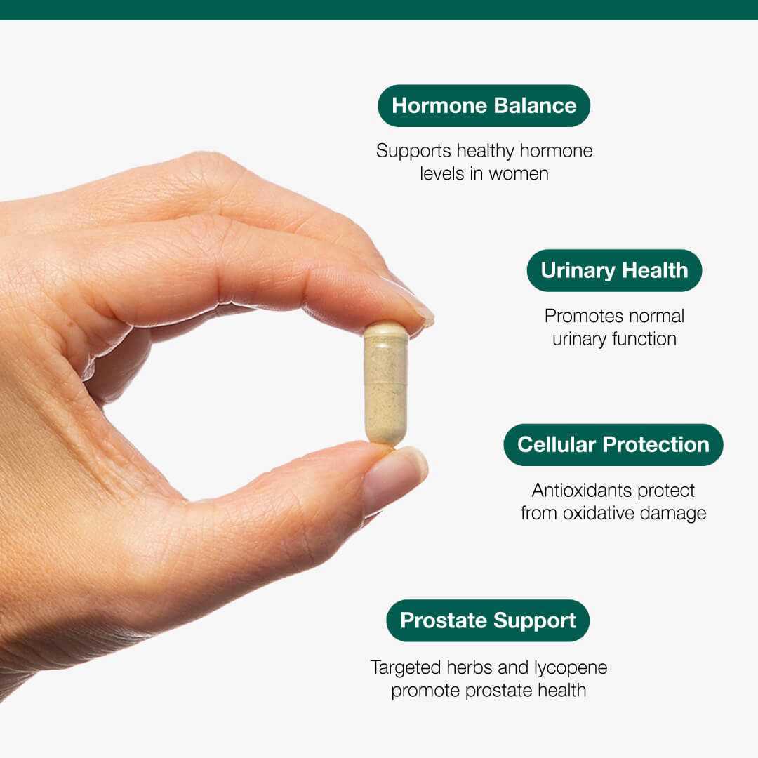 Saw Palmetto + Stinging Nettle Complex - 60 Capsules | Metagenics