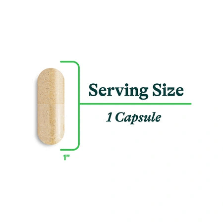 Nutriments pour le foie - 60 Gélules | Seeking Health