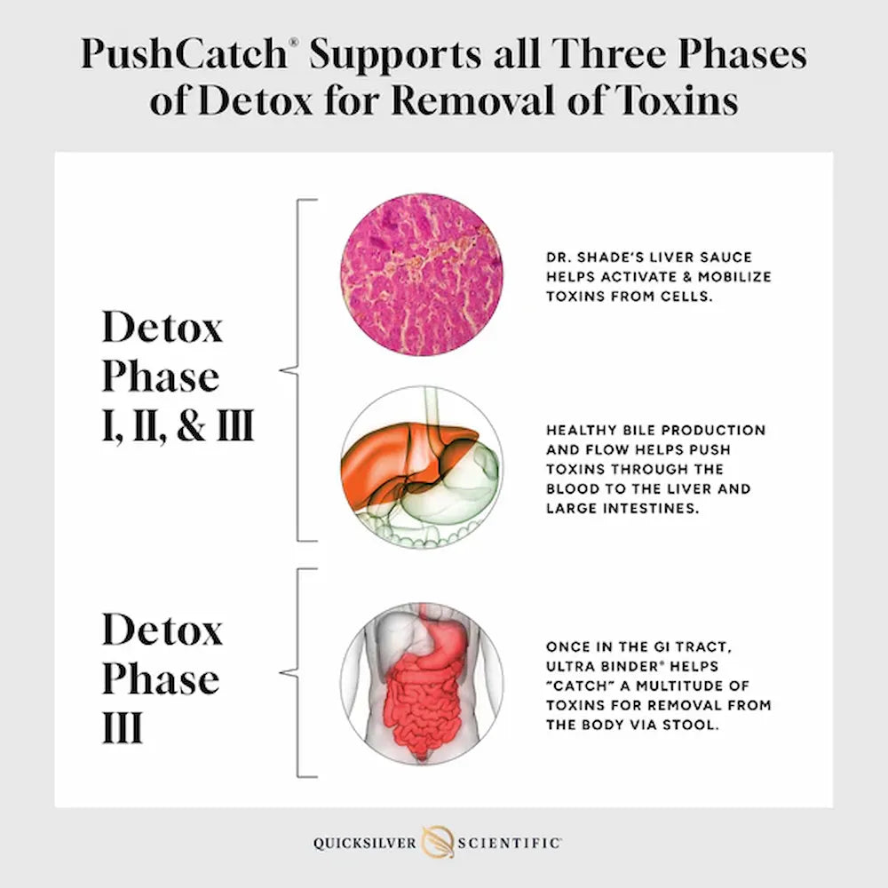 PushCatch Liver Detox Protocol | Quicksilver Scientific