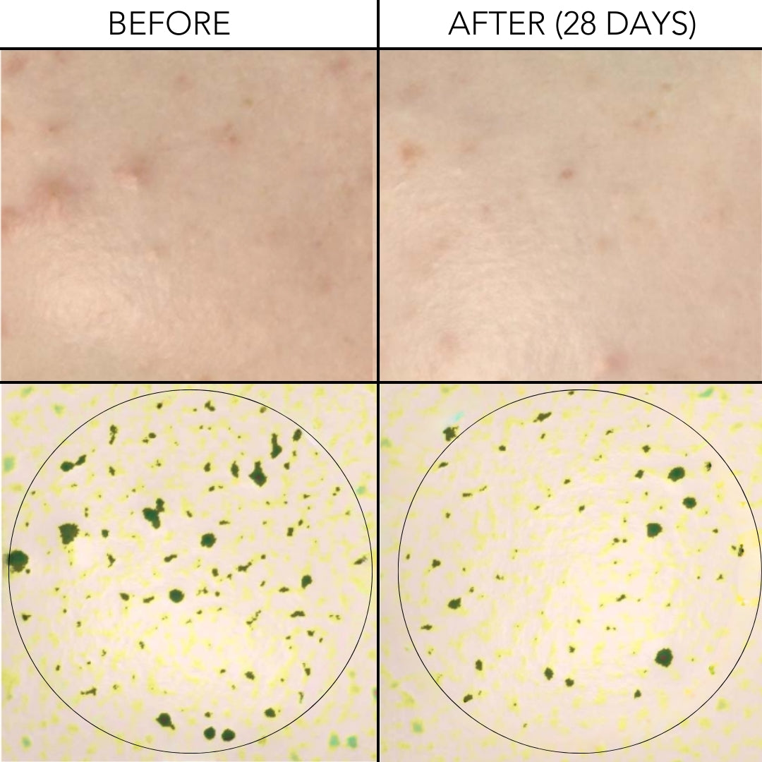 Regulation Serum - 30ml | Skin Diligent