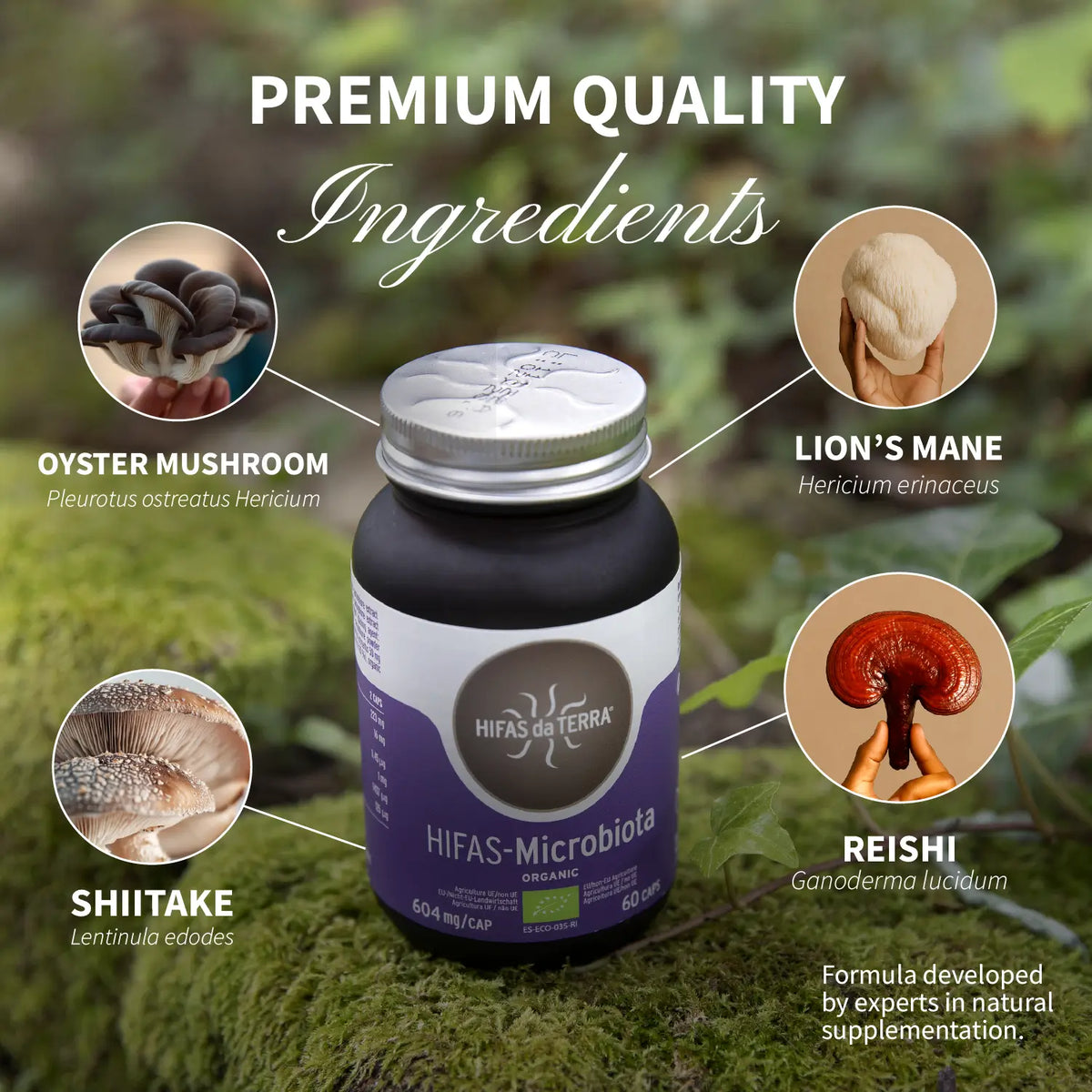 Hifas-Microbiota refill | Hifas da Terra