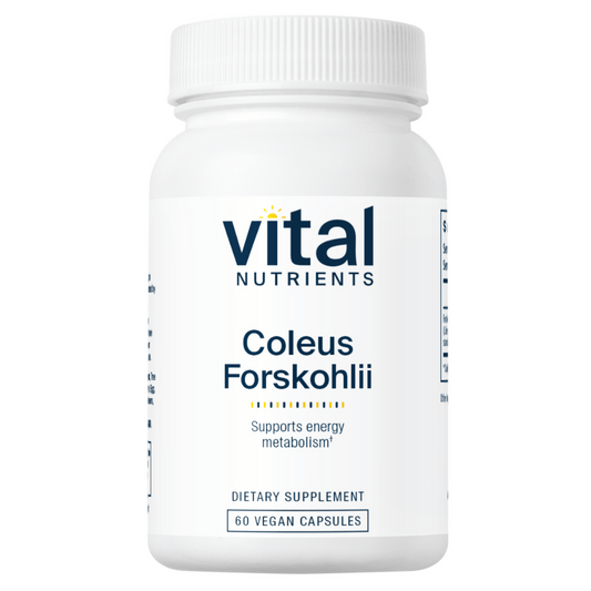 Coleus Forskohlii - 60 Kapseln | Vital Nutrients