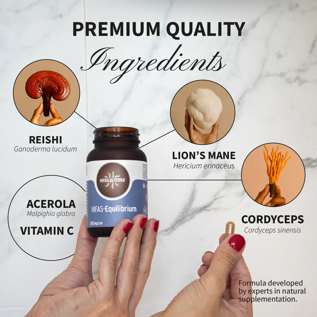 Hifas-Equilibrium refill | Hifas da Terra
